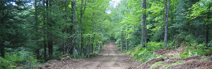 Minerick Logging Inc.